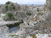 Albums/20060200-New Zealand 2006/20060318-Kaikiura/23